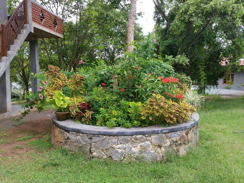 Tranquality Chalets Tangalle Room photo